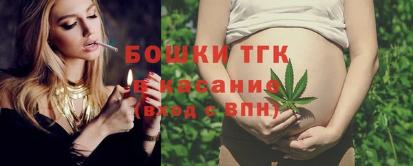 эйфоретик Покачи