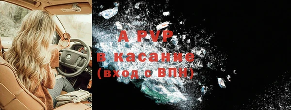 эйфоретик Покачи